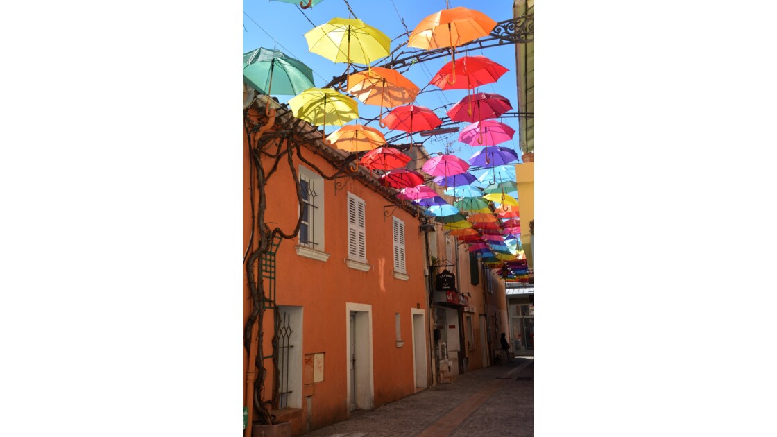 Les parapluies colorés 