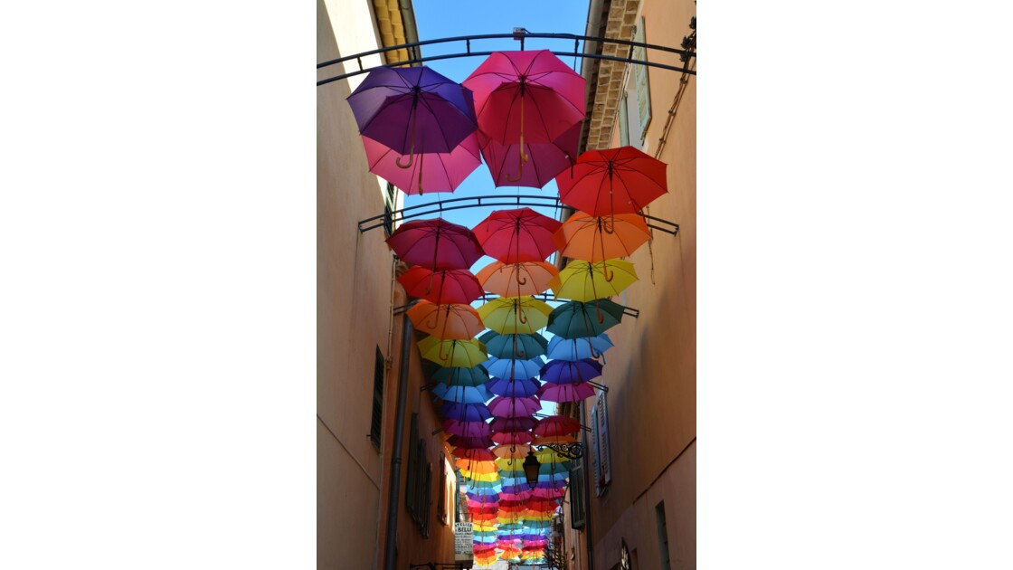 Les parapluies colorés 