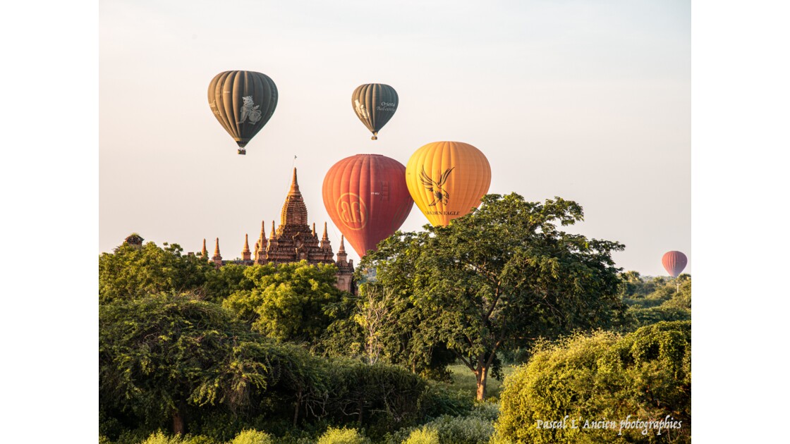 Lever du soleil sur les pagodes Bagan