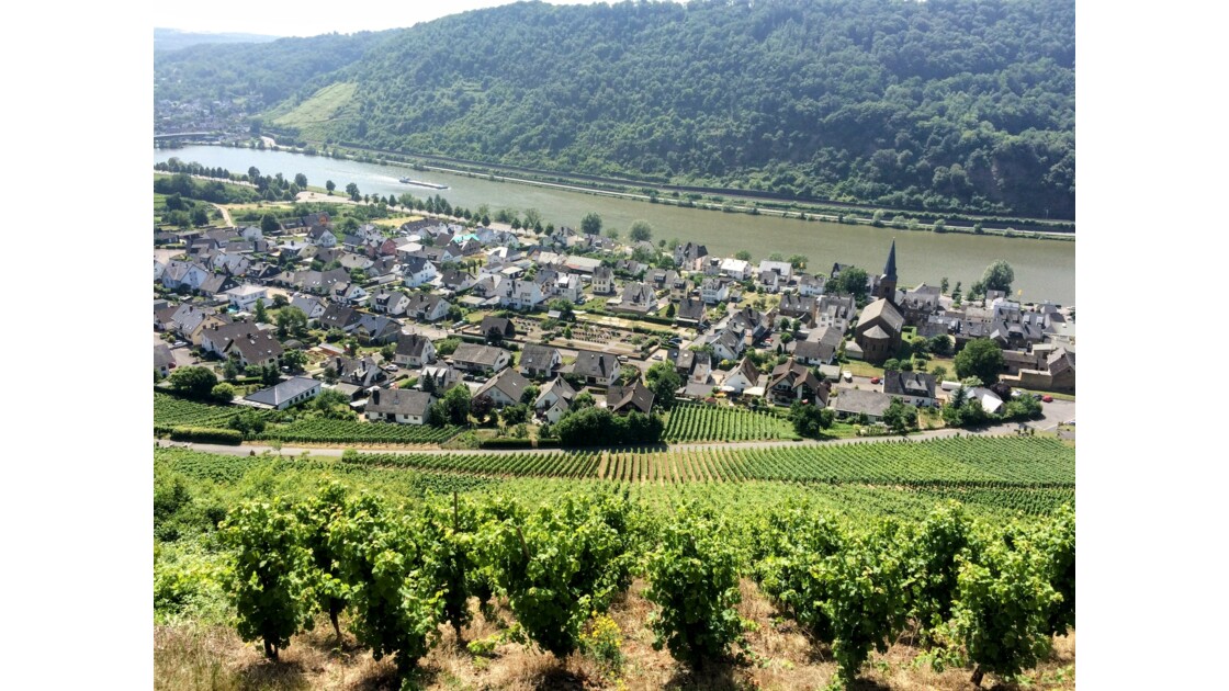 La Vallée du Rhin (romantique) - Le panorama