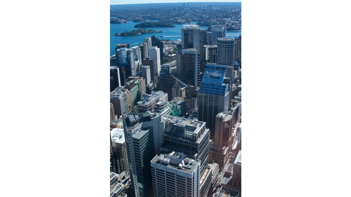 Sydney Skyscrapers