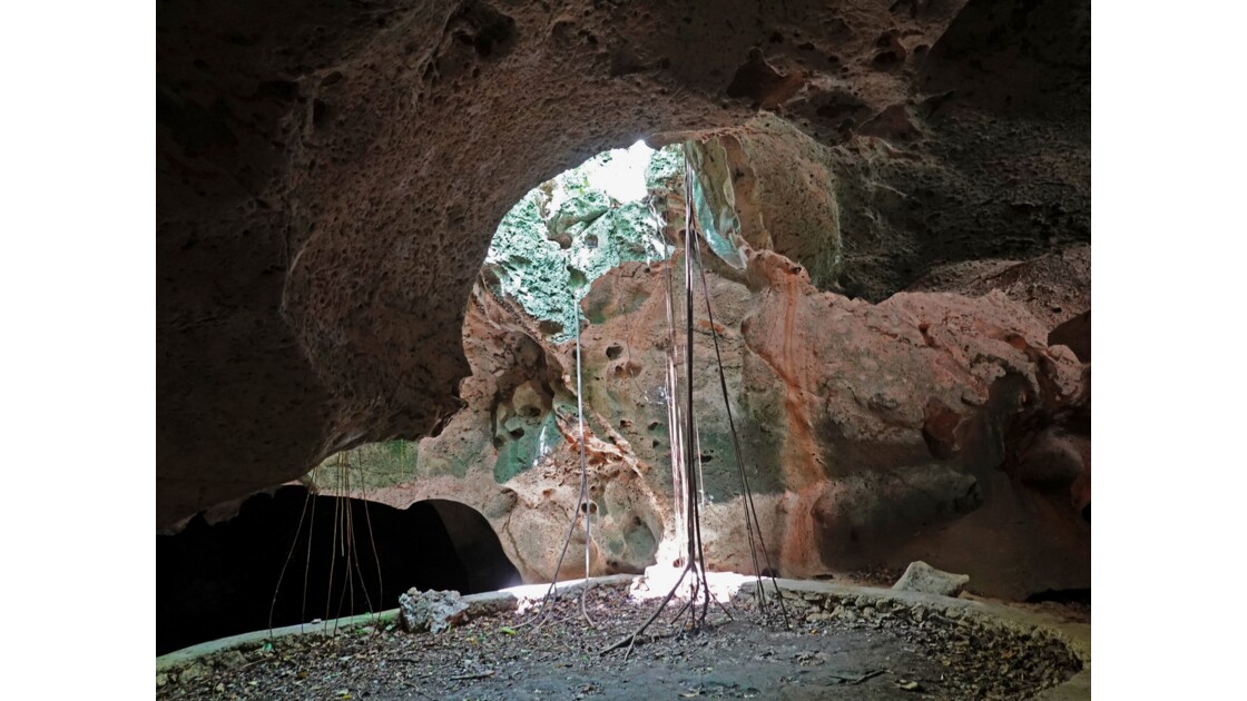 La Jamaïque Green Grottos Caves Végétation 