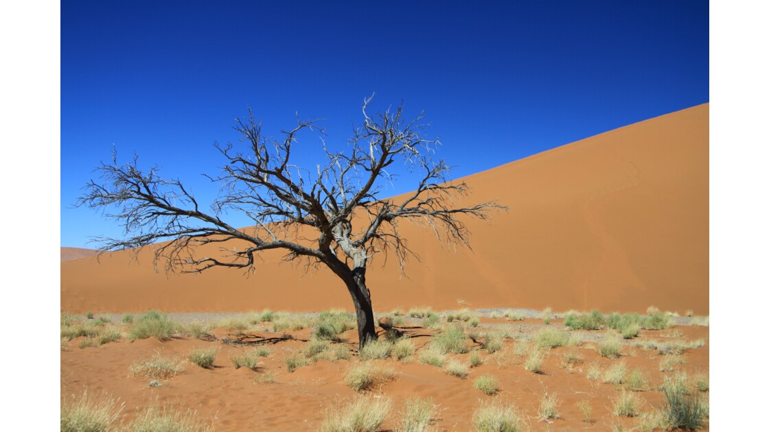 Namibie 