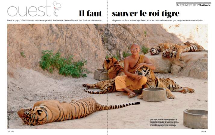 Grand dossier Thaïlande / Ouest : il faut sauver le roi tigre