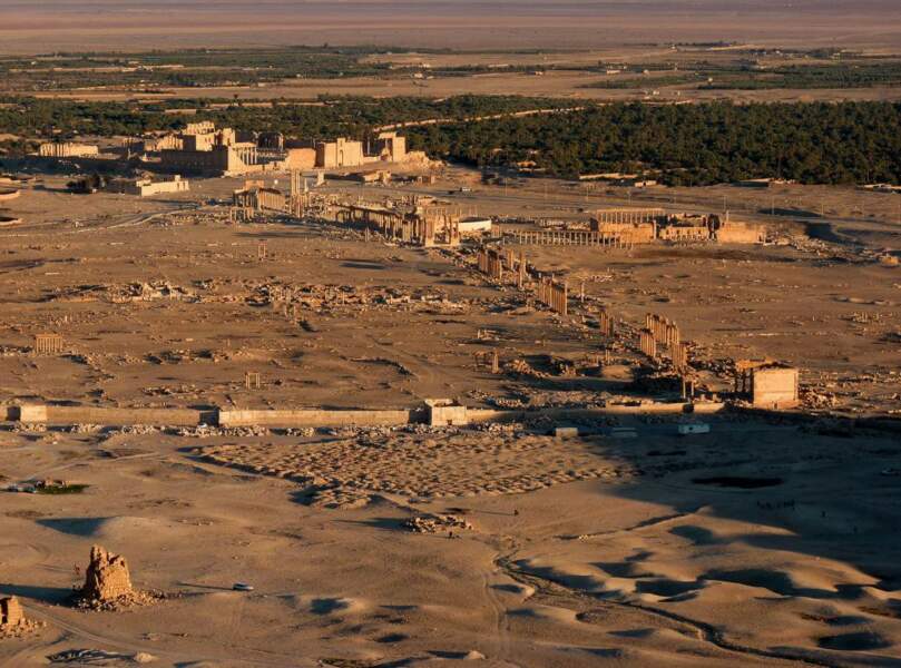 Vue générale de Palmyre, l'antique Tadmor