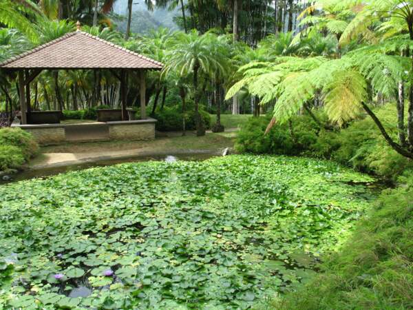 Le jardin de Balata en Martinique