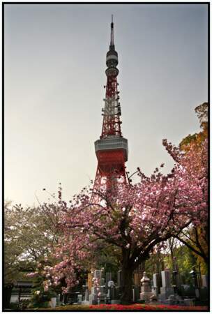 Tokyo tower, Minato, Tokyo 
