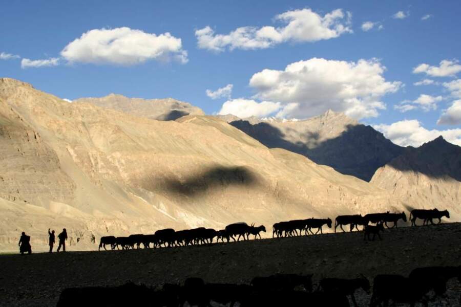 Photo prise dans le Ladakh (Inde) par guizzo