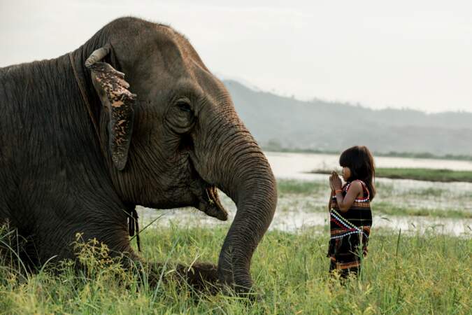 L'ethnie M'Nong aime les éléphants