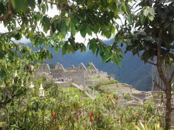 Le mythique Machu Picchu, au Pérou