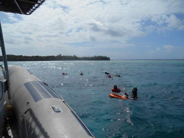 Plongée sous-marine à Zanzibar