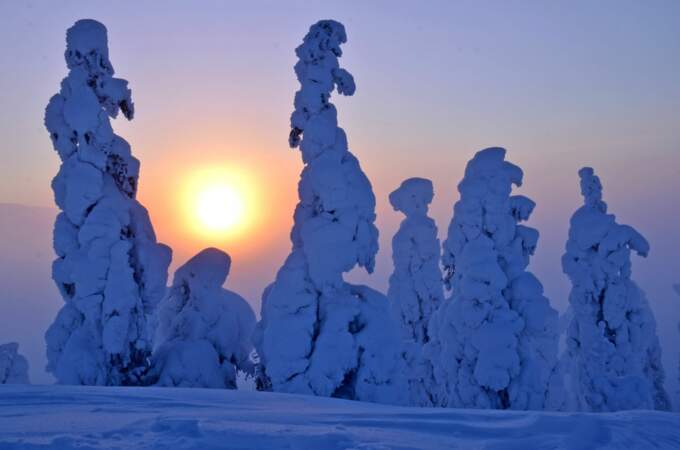 L'hiver en Laponie finlandaise