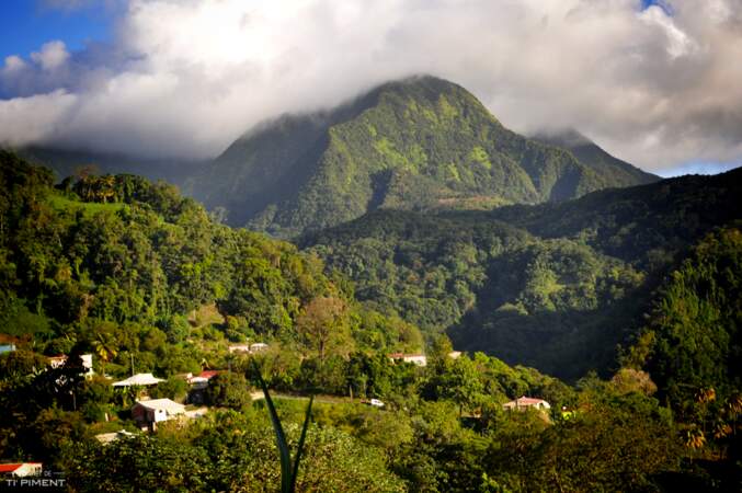 Vos plus beaux clichés de la Martinique