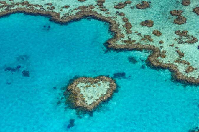 Le Heart Reef dans l’archipel des Whitsundays, Grande Barrière de corail, Australie