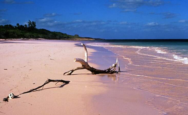 2 : Pink Sands aux Bahamas