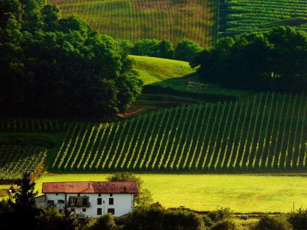 Diaporama n°11 : Pays basque : la terre des contrastes 