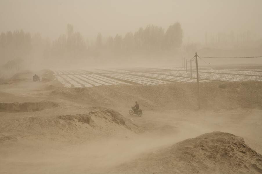 Tempête à Wuwei, série sur le "dust bowl" chinois, 2006-07