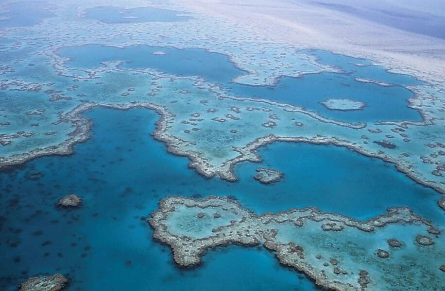 7e spot : La grande barrière de corail en Australie