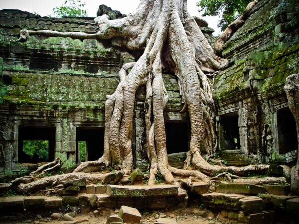 Cambodge : les temples d’Angkor 