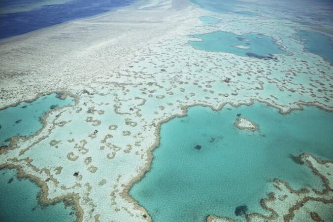 La Grande Barrière de corail, en Australie