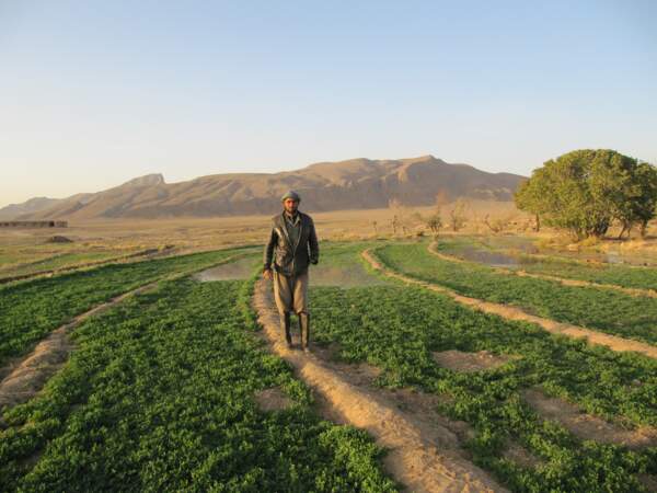 Rencontre avec un ouvrier agricole afghan, sur la route d'Ispahan