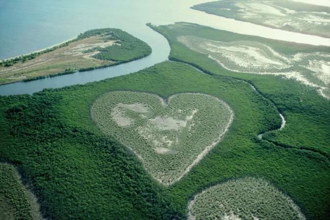 Cœur de Voh dans la mangrove sur la Grande Terre, Nouvelle-Calédonie