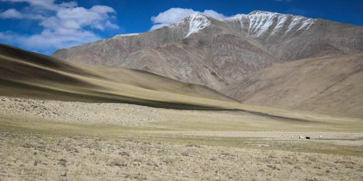 Photo prise au Ladakh (Inde), par vio trieves