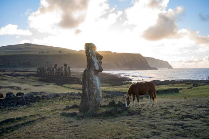 Le moai "voyageur"
