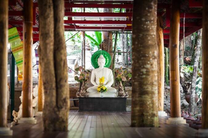 Bouddha serein 