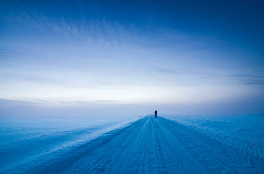 Région de Kanta-Häme, Finlande : grand blanc à l’heure bleue 
