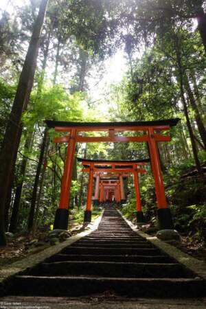 Japon - Kyoto, entre modernité et tradition