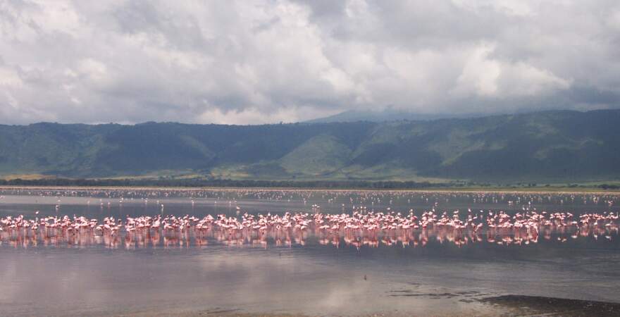 3e destination : le parc naturel de N’Gorongoro en Tanzanie