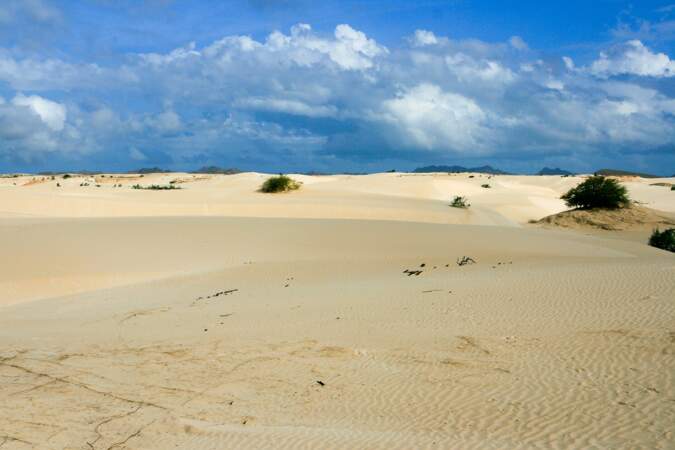 Le désert de Boa Vista