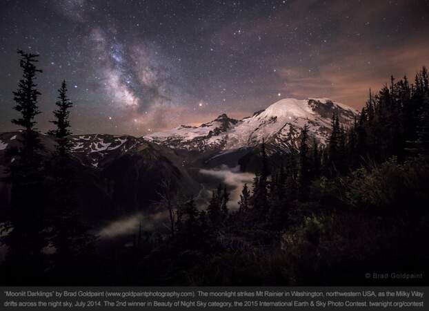 Mount Rainier, dans l'état de Washington, aux Etats-Unis