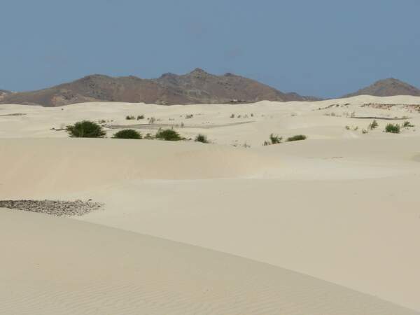 Le désert du Viana