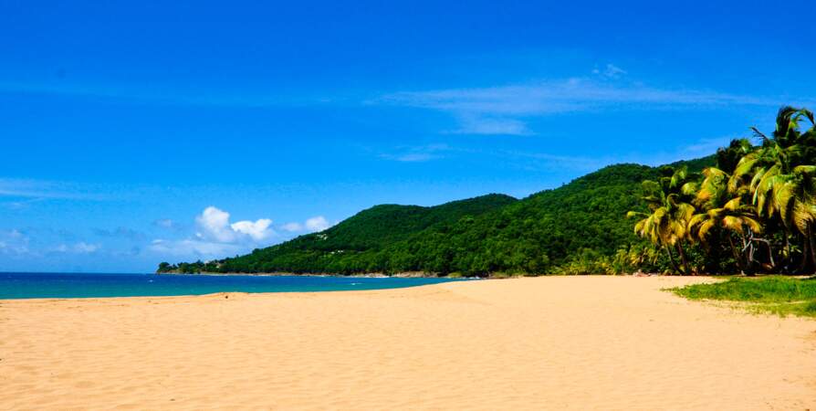 Profiter des plages sublimes en Guadeloupe
