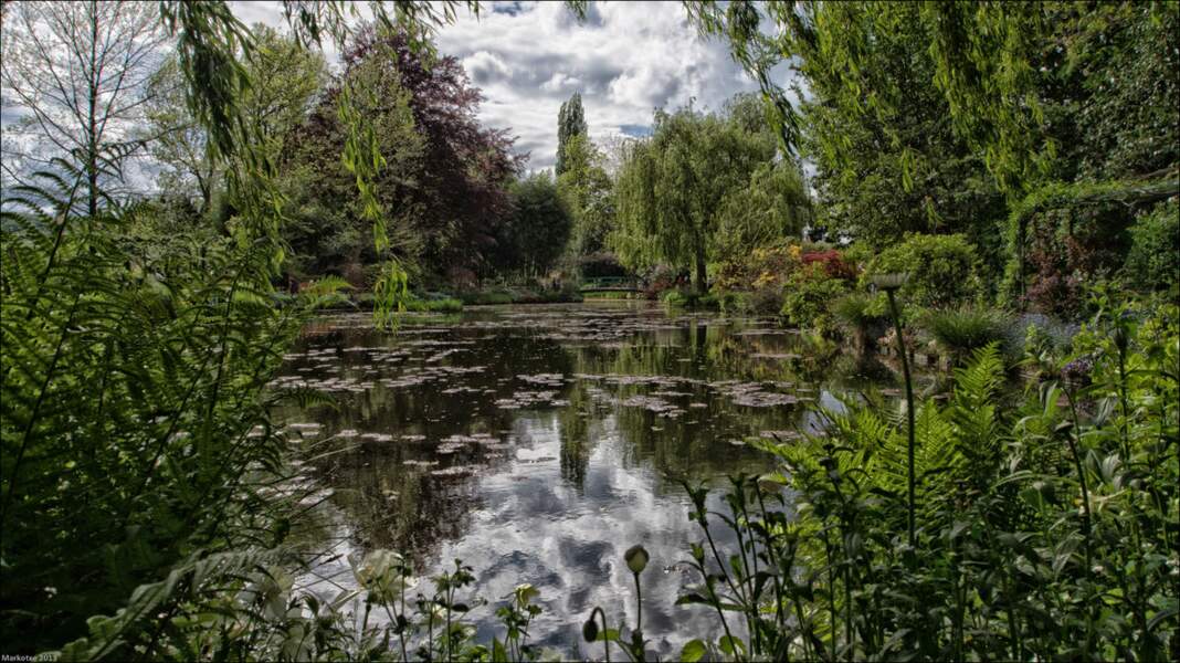 Le bassin aux nymphéas du jardin d'eau de Giverny (Haute-Normandie) - 3ème prix de l'édition "Parcs et jardins"