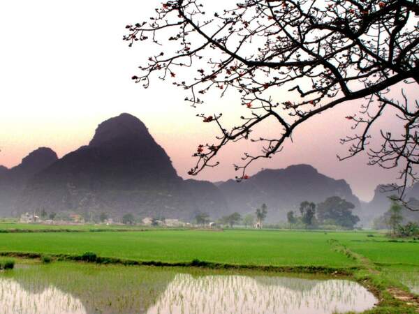 Diaporama n°15 : Le Vietnam du nord au sud 