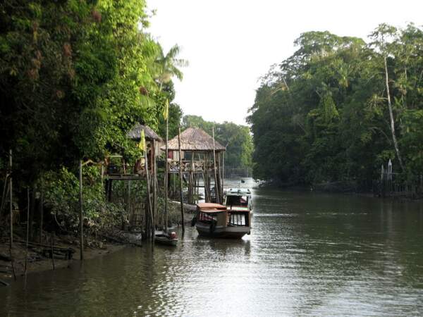 Diaporama n°5 : Brésil, de l'Amazonie aux villes coloniales 