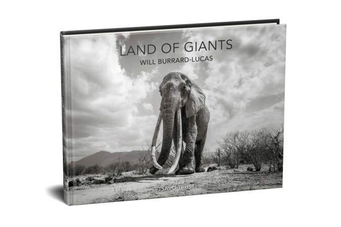 “Land of Giants”