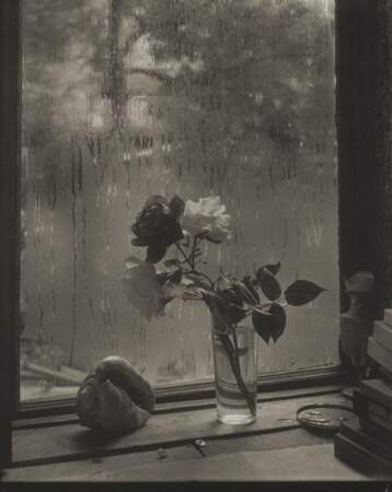 La dernière rose, 1956