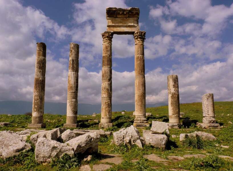 Détail de la colonnade de Palmyre