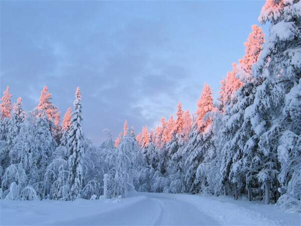 Payage hivernal en Suède par Amy Arduinna / Communauté GEO