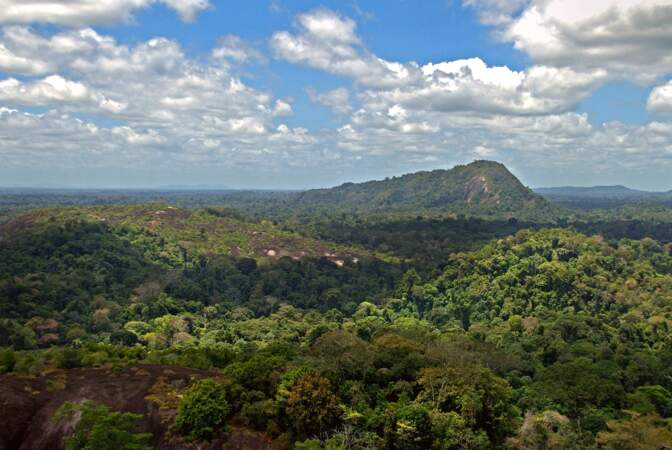 Une nouvelle partie de la forêt amazonienne maintenant protégée