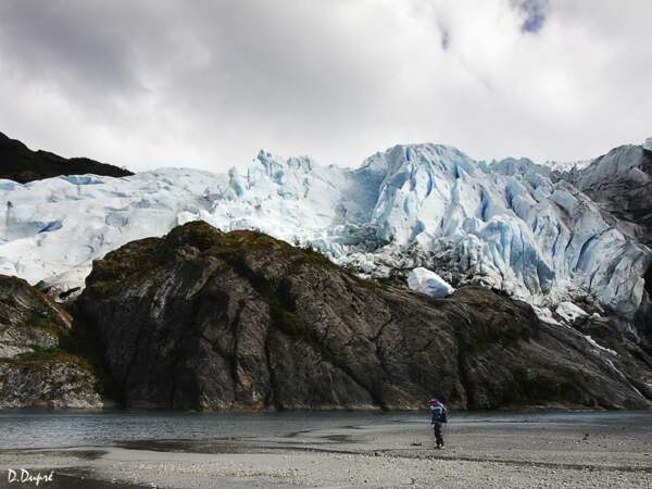 Patagonie : en Terre de Feu, au pied de la cordillère Darwin
