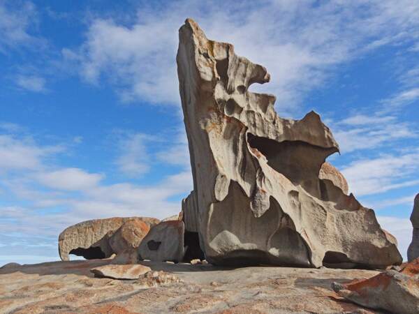 Photo prise à Kangaroo Island (Australie) par le GEOnaute : impitoyable