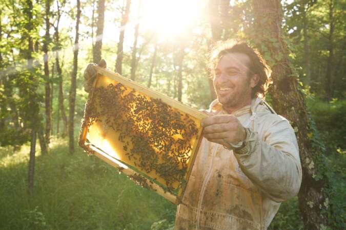 Les apiculteurs, meilleurs ennemis des abeilles