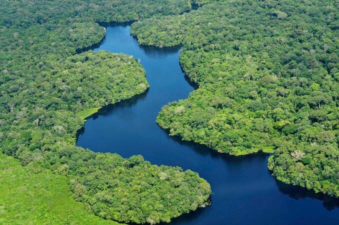 Le fleuve Amazone, au Brésil