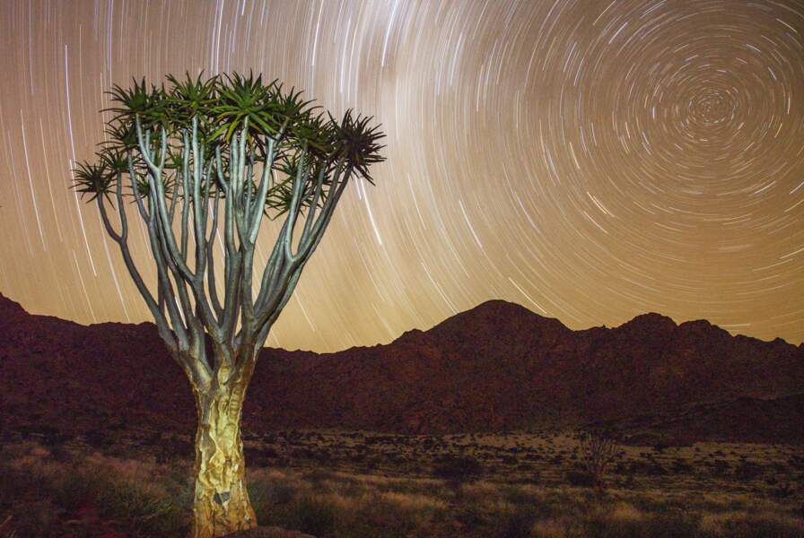 Réserve naturelle de Namibrand, Namibie 