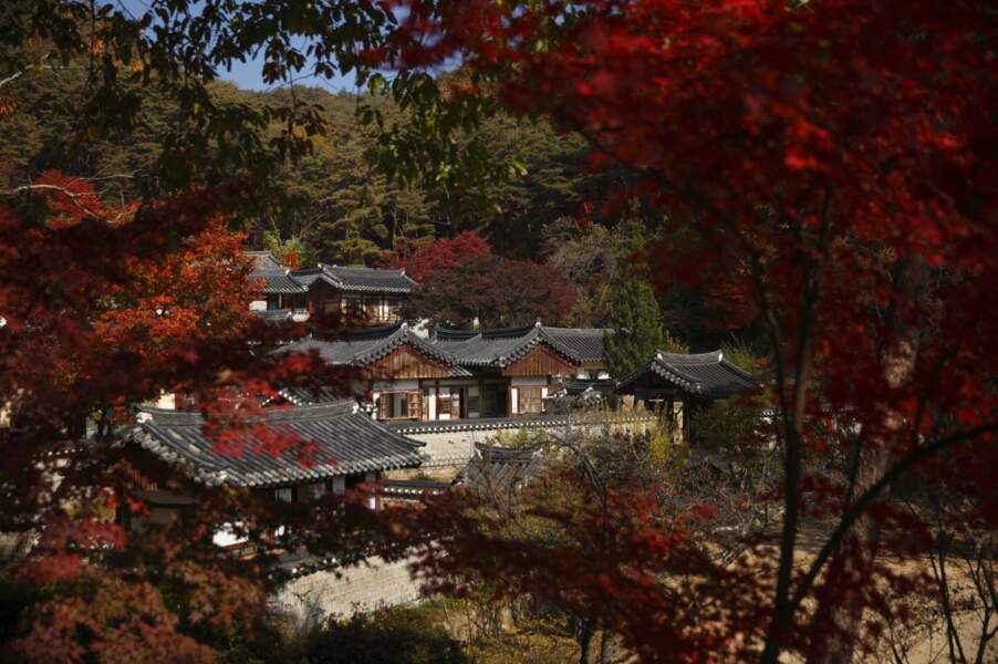 Le site de Seowon, académies néo-confucéennes en Corée du Sud